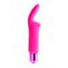 Mini Vibrator 