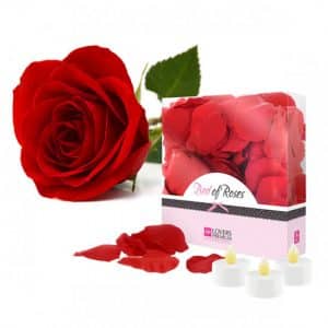 Romantische Rosenblätter & 3 LED Kerzen