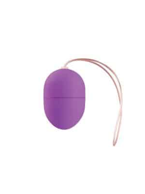 10 Speed Remote Vibrating Egg Small Size (Purple)