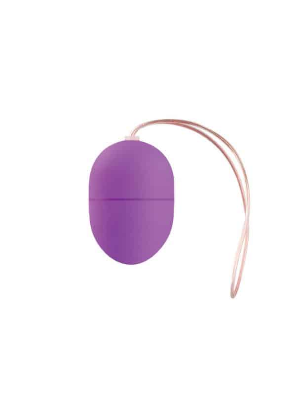 10 Speed Remote Vibrating Egg Small Size (Purple)