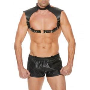 Harness mit Halsband