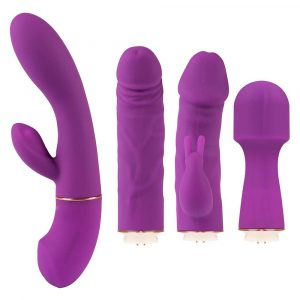 Deluxe 4-in-1 Vibrator mit 4 austauschbaren Aufsätzen