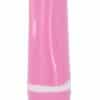 Minivibrator „Vibe Therapy Quantum“