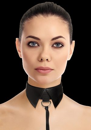 Classic Collar with Leash - Black